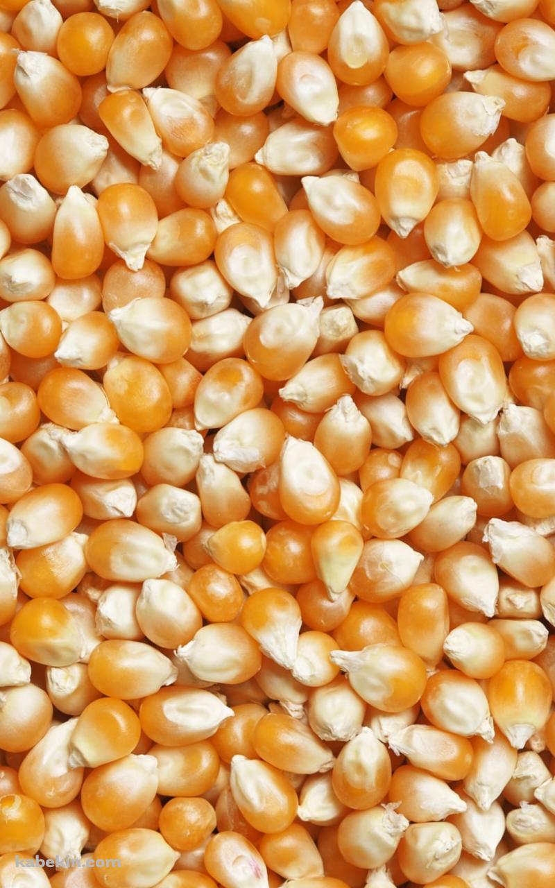 画面いっぱいのトウモロコシのAndroidの壁紙(800px x 1280px) スマホ用