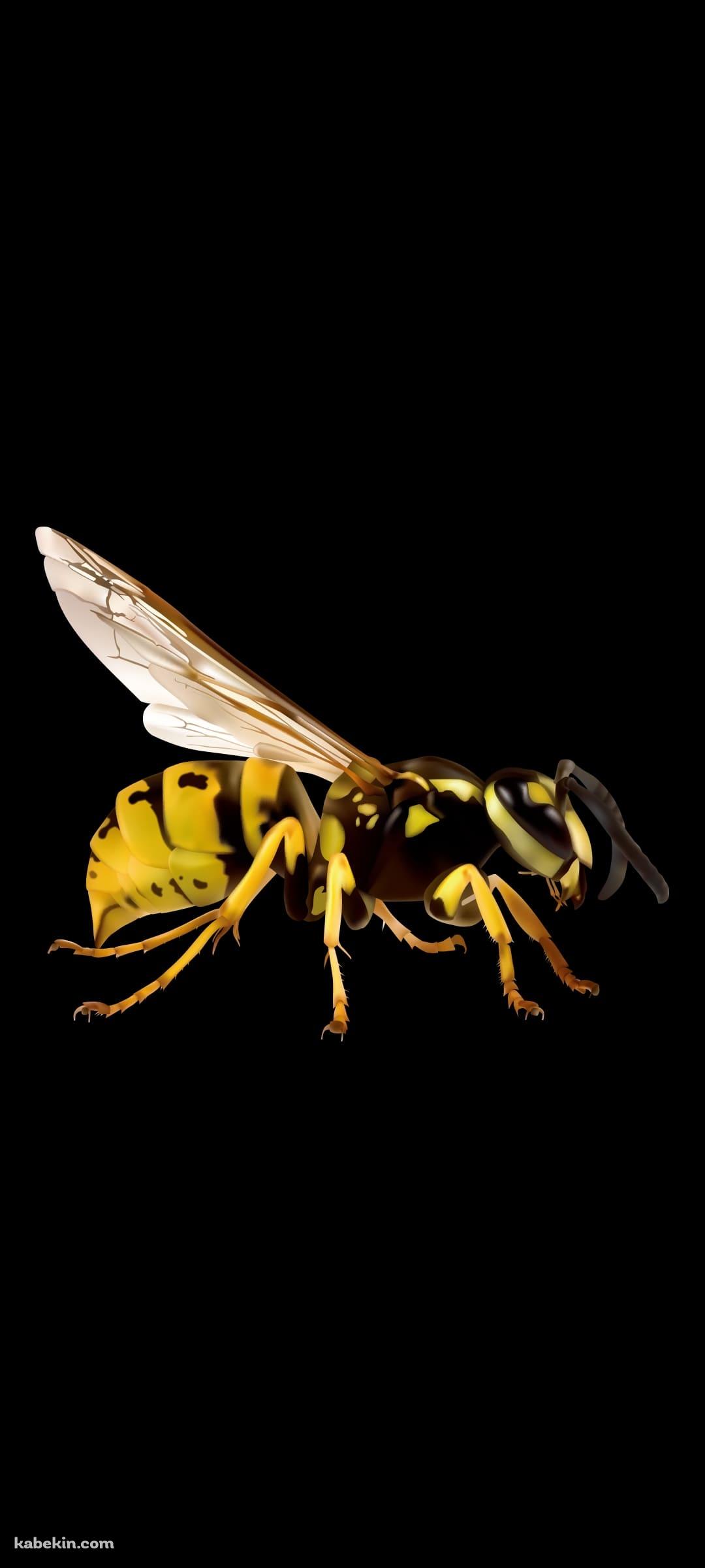 スズメバチのAndroidの壁紙(1080px x 2400px) スマホ用