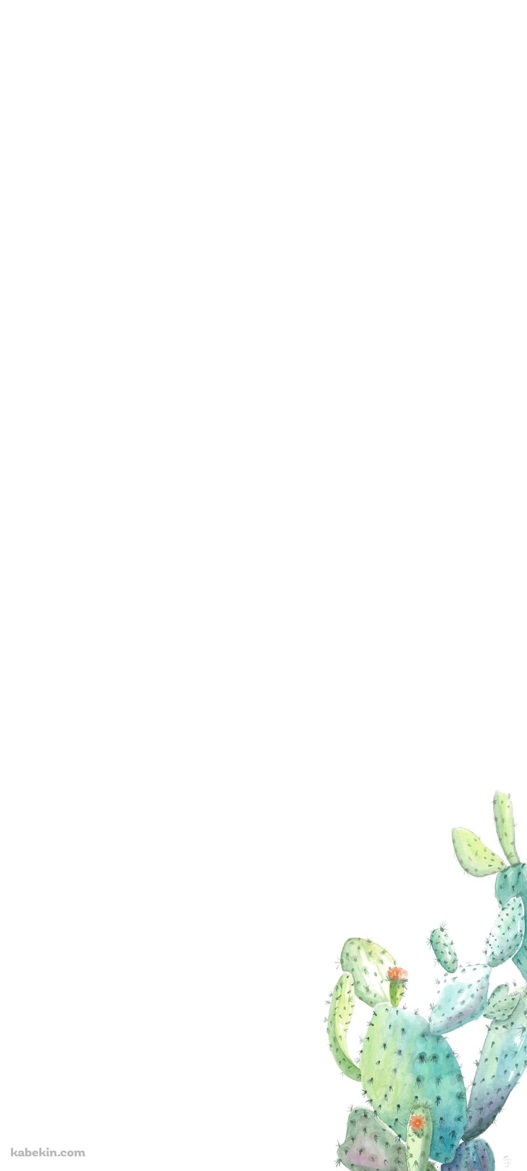 水彩のサボテンのAndroidの壁紙(1080px x 2400px) スマホ用