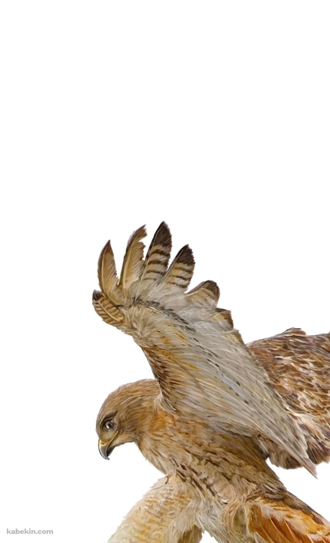 襲いかかる鷹のAndroidの壁紙(1080px x 1776px) スマホ用
