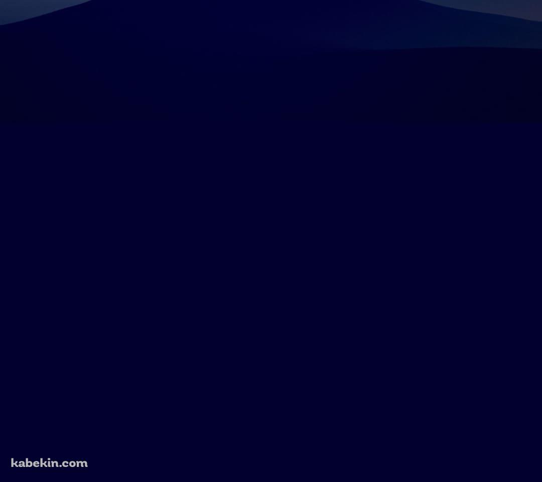 丘の上の大木と月のAndroidの壁紙(1080px x 960px) スマホ用