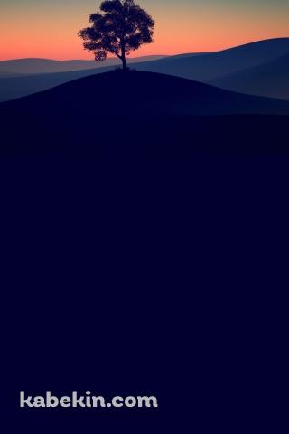 丘の上の大木と月のAndroidの壁紙(320px x 480px) スマホ用