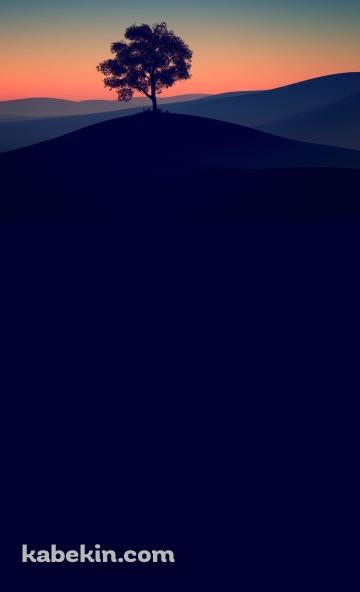 丘の上の大木と月のAndroidの壁紙(360px x 592px) スマホ用