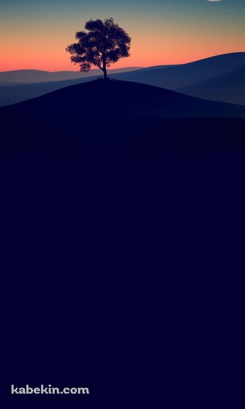 丘の上の大木と月のAndroidの壁紙(480px x 800px) スマホ用