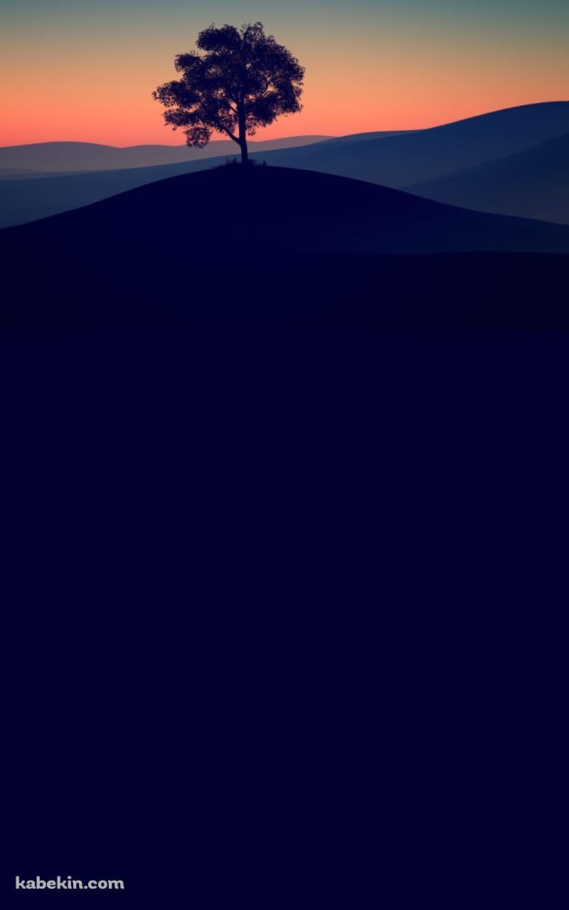 丘の上の大木と月のAndroidの壁紙(800px x 1280px) スマホ用