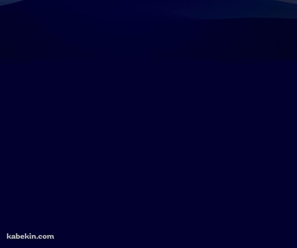 丘の上の大木と月のAndroidの壁紙(960px x 800px) スマホ用