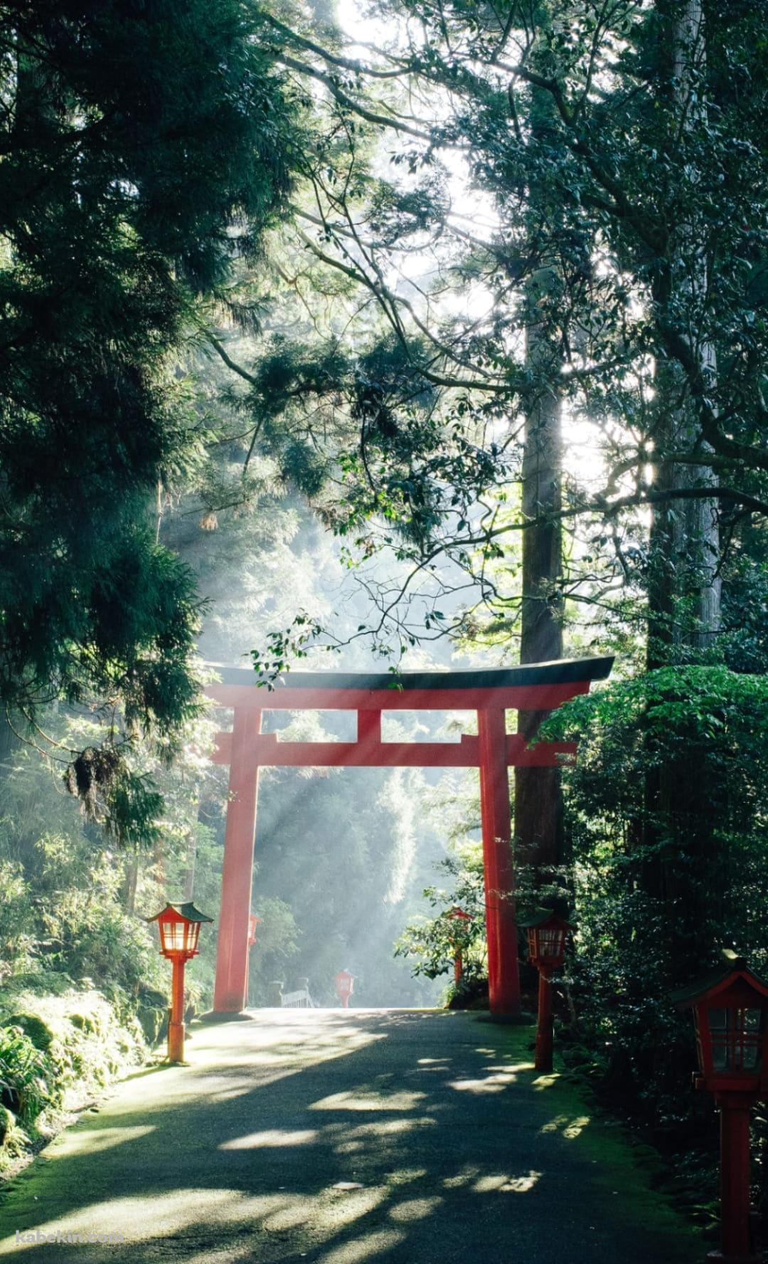 箱根神社 九頭龍神社のAndroidの壁紙(1080px x 1776px) スマホ用