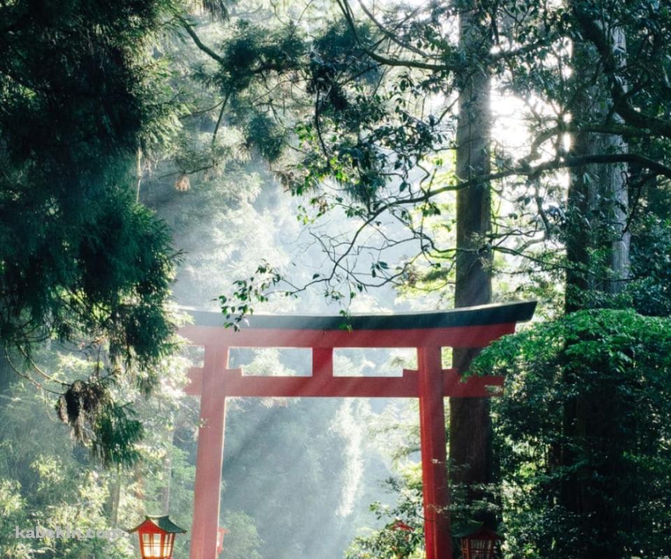箱根神社 九頭龍神社のAndroidの壁紙(960px x 800px) スマホ用