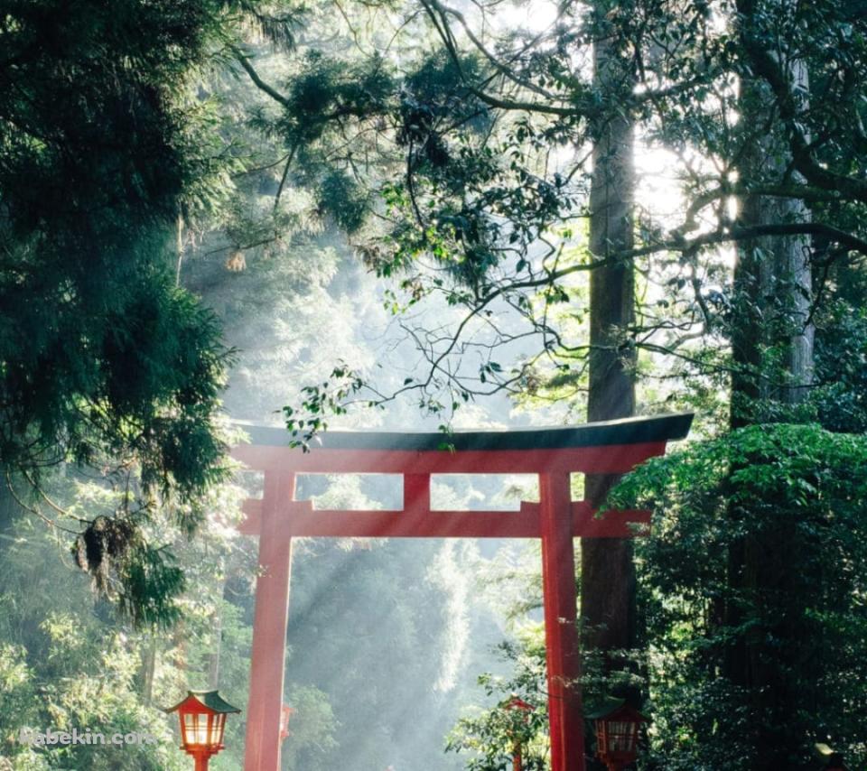 箱根神社 九頭龍神社のAndroidの壁紙(960px x 854px) スマホ用