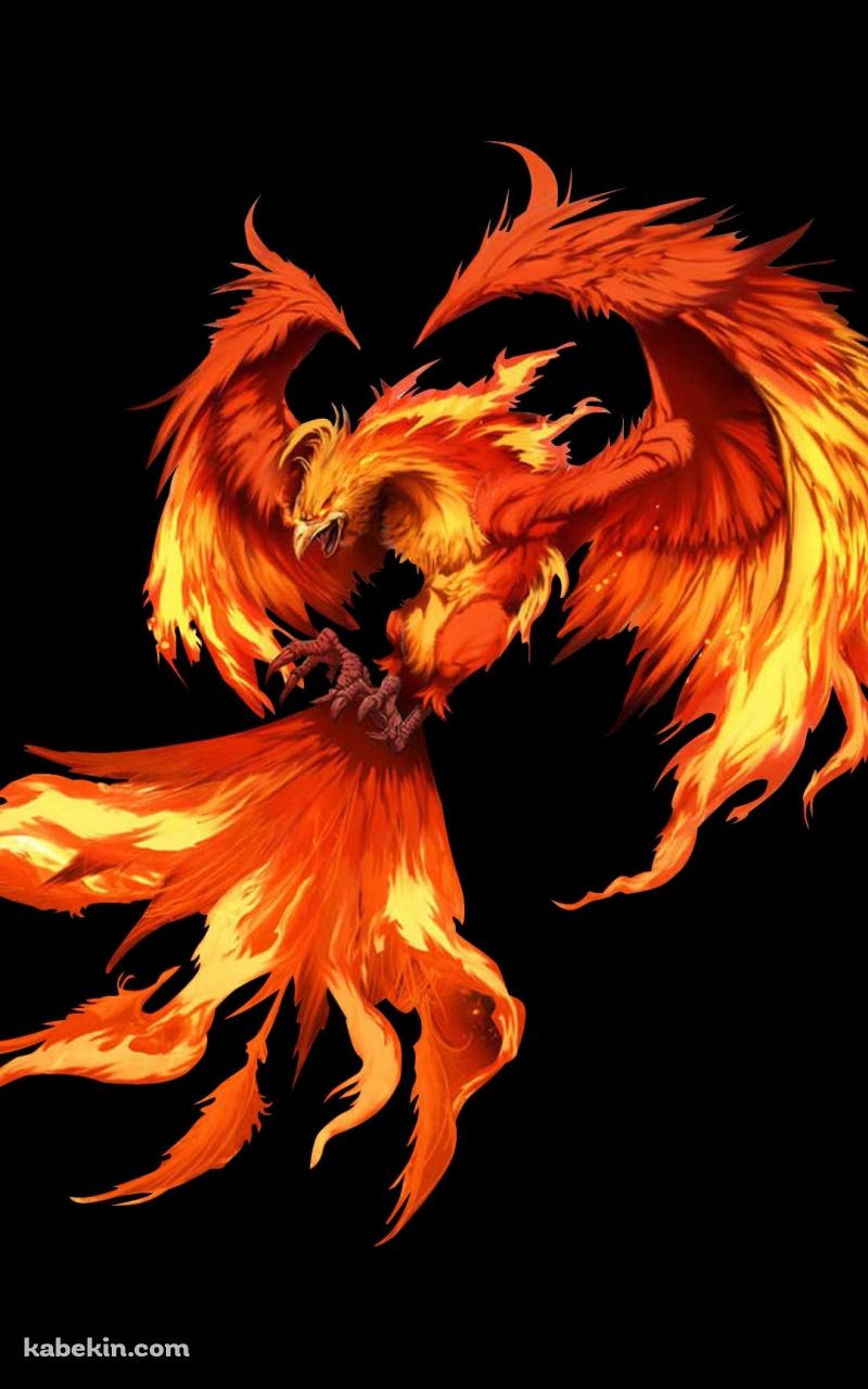 かっこいいフェニックスのAndroidの壁紙(800px x 1280px) スマホ用