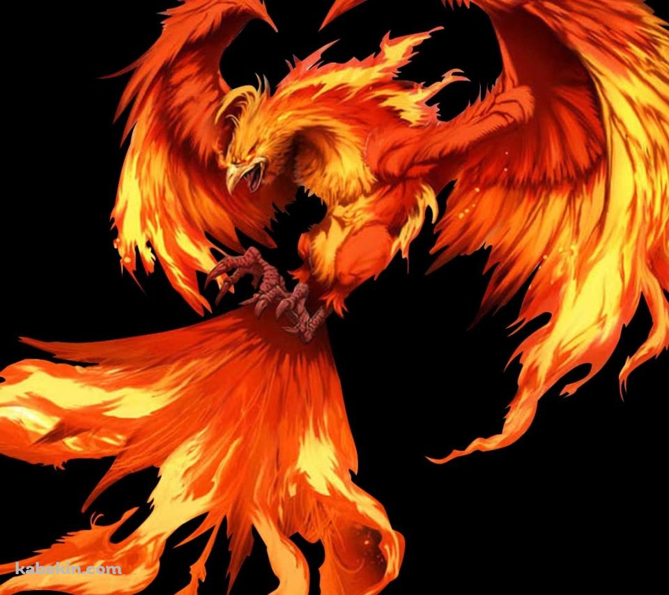 かっこいいフェニックスのAndroidの壁紙(960px x 854px) スマホ用