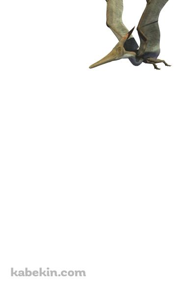 プテラノドンのAndroidの壁紙(360px x 592px) スマホ用