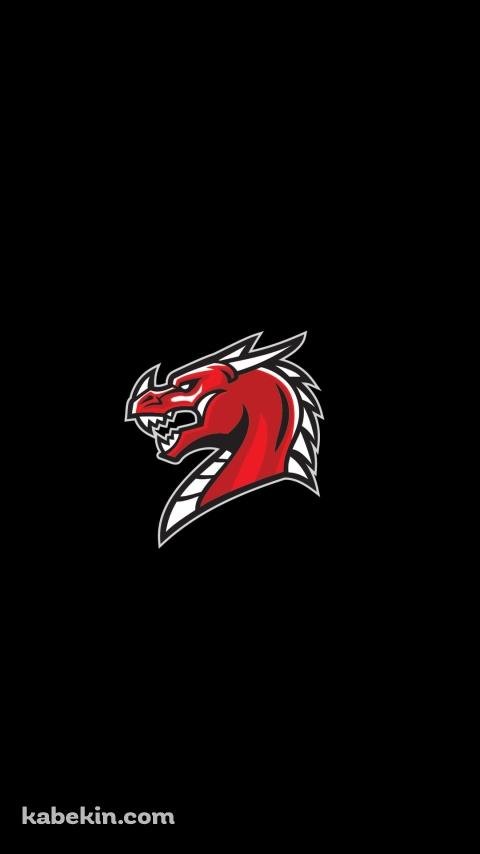 かっこいい赤いドラゴンのアイコンのAndroidの壁紙(480px x 854px) スマホ用