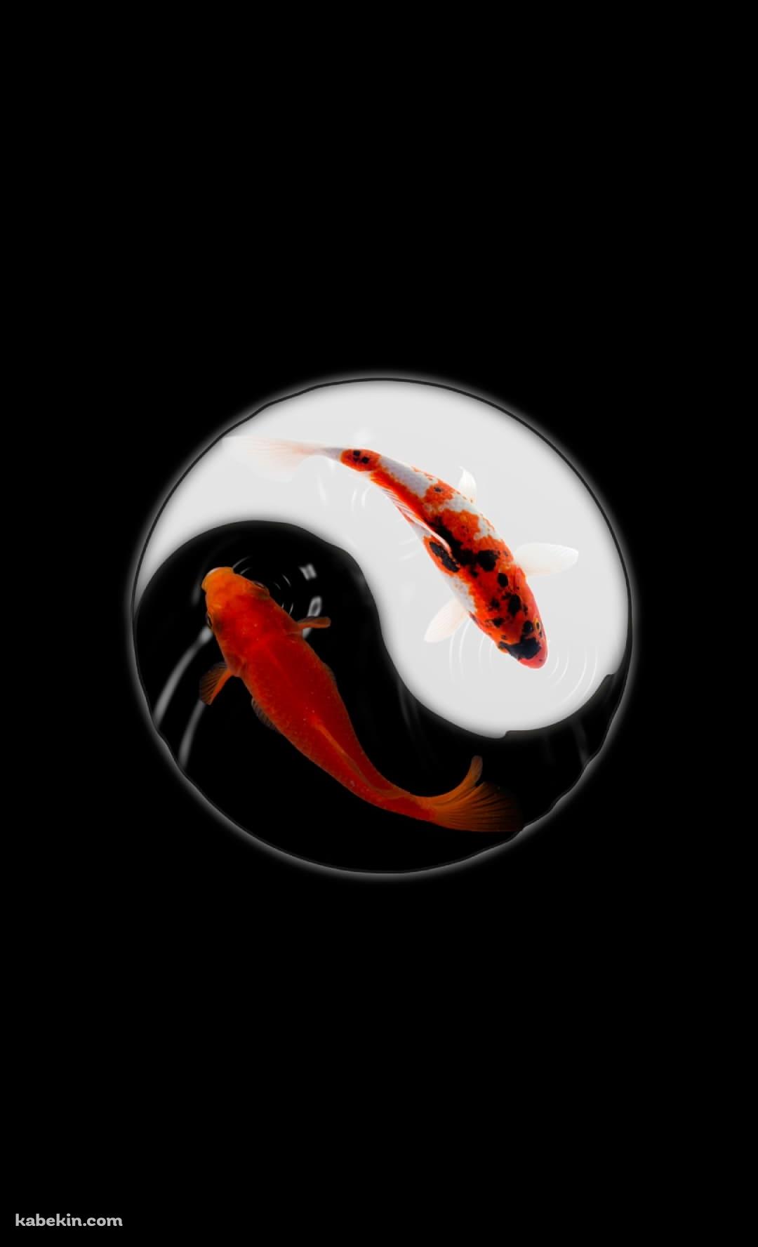 金魚 黒と白のAndroidの壁紙(1080px x 1776px) スマホ用