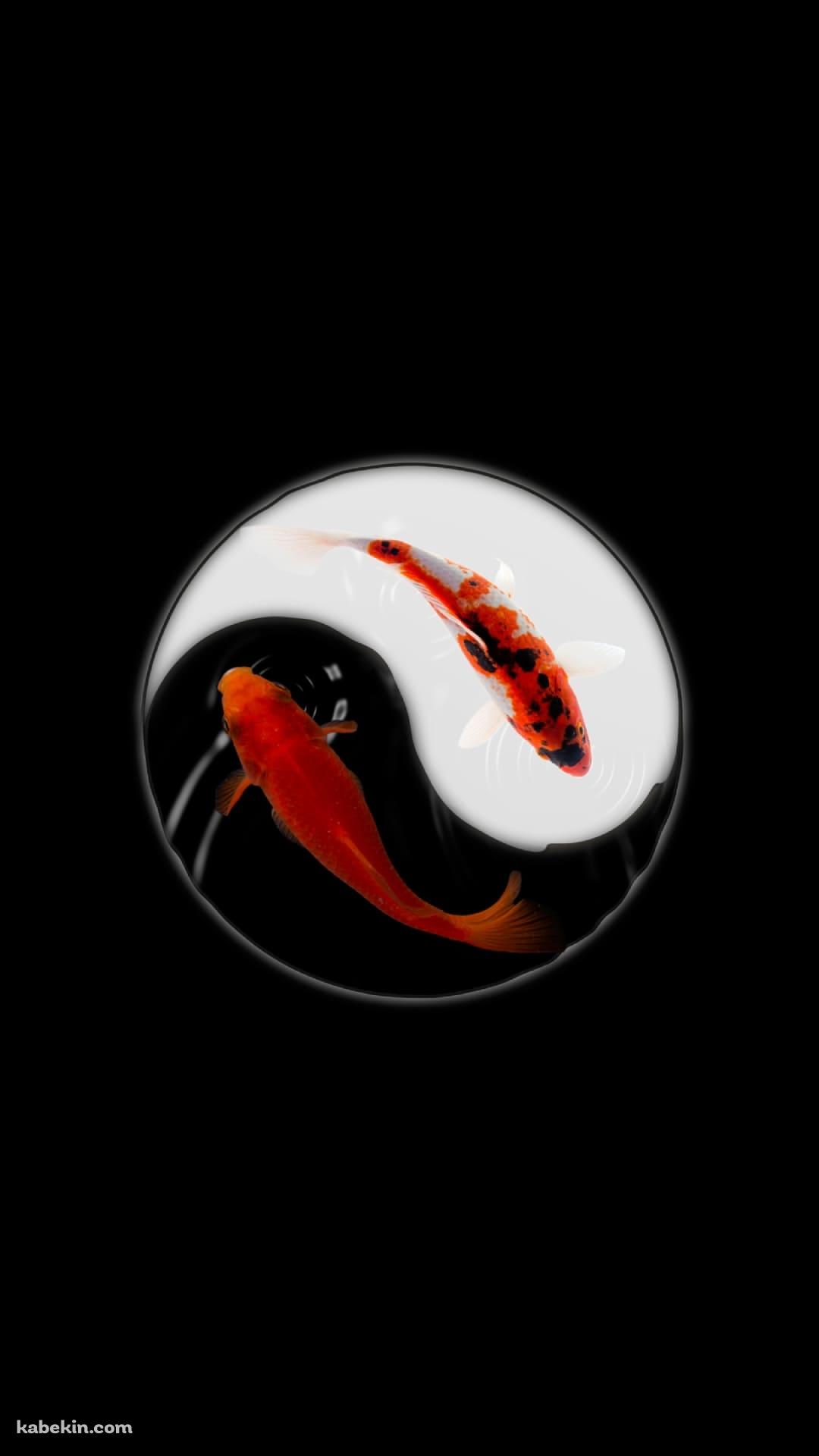 金魚 黒と白のAndroidの壁紙(1080px x 1920px) スマホ用