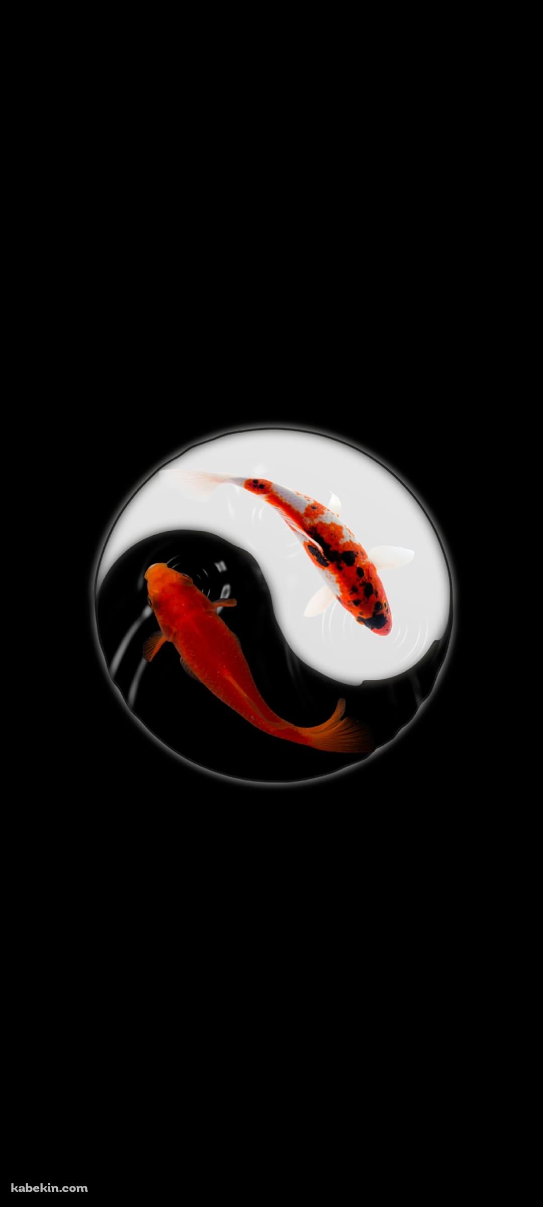 金魚 黒と白のAndroidの壁紙(1080px x 2400px) スマホ用