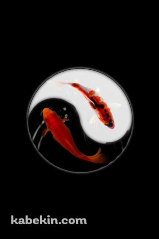 金魚 黒と白のAndroidの壁紙(320px x 480px) スマホ用