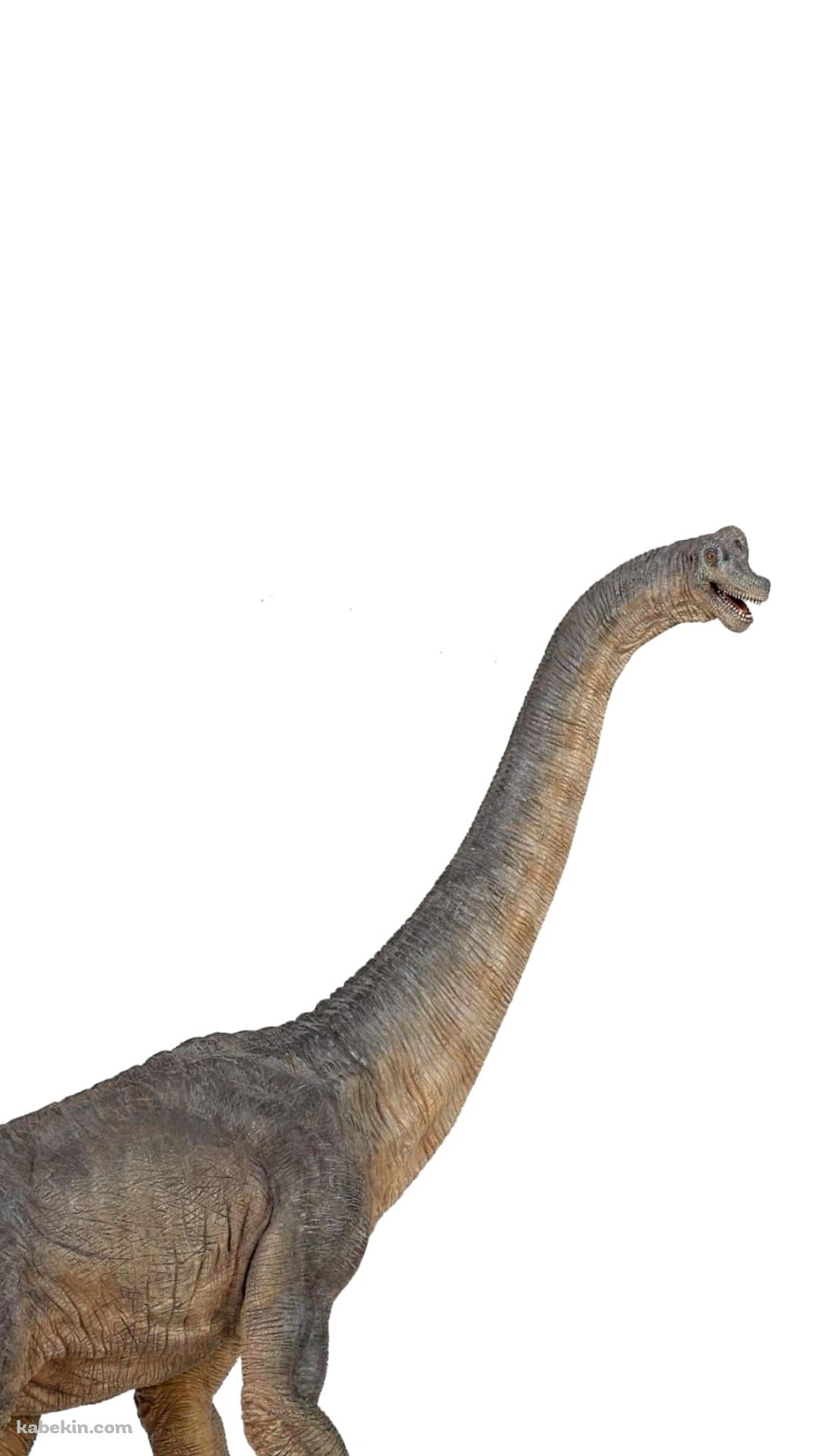 ブラキオサウルスのAndroidの壁紙(1080px x 1920px) スマホ用