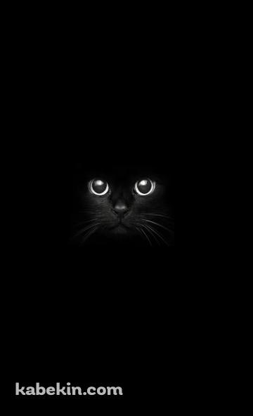 暗闇の中の黒猫のAndroidの壁紙(360px x 592px) スマホ用