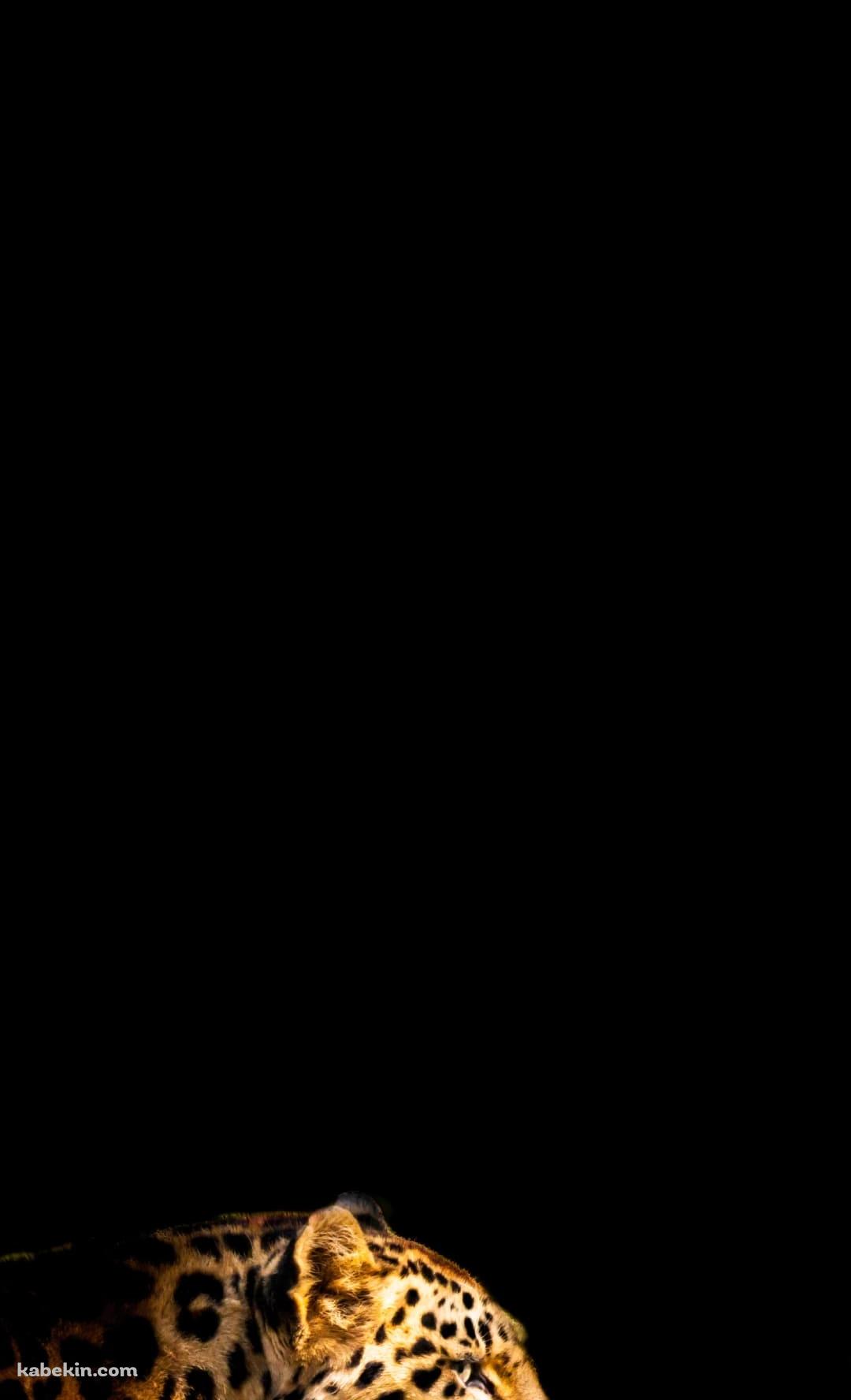 横向きの豹のAndroidの壁紙(1080px x 1776px) スマホ用