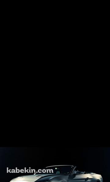 フォード マスタングのAndroidの壁紙(360px x 592px) スマホ用