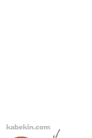 カタツムリのAndroidの壁紙(320px x 480px) スマホ用