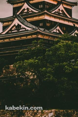 広島城のAndroidの壁紙(320px x 480px) スマホ用