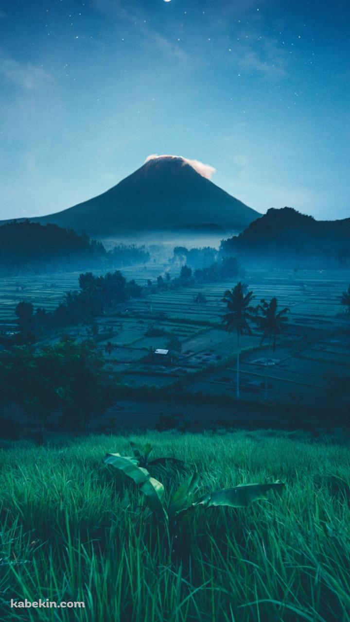 山と田園風景と三日月と夜空のAndroidの壁紙(720px x 1280px) スマホ用