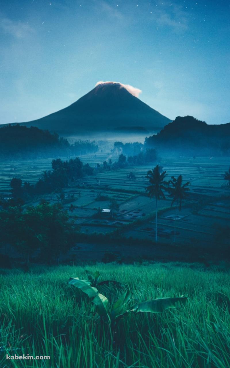 山と田園風景と三日月と夜空のAndroidの壁紙(800px x 1280px) スマホ用