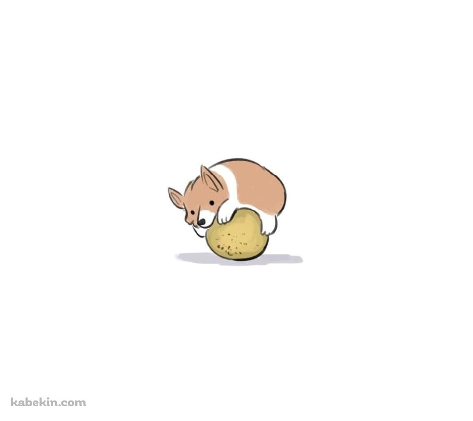 コーギーとボール イラストのAndroidの壁紙(960px x 854px) スマホ用