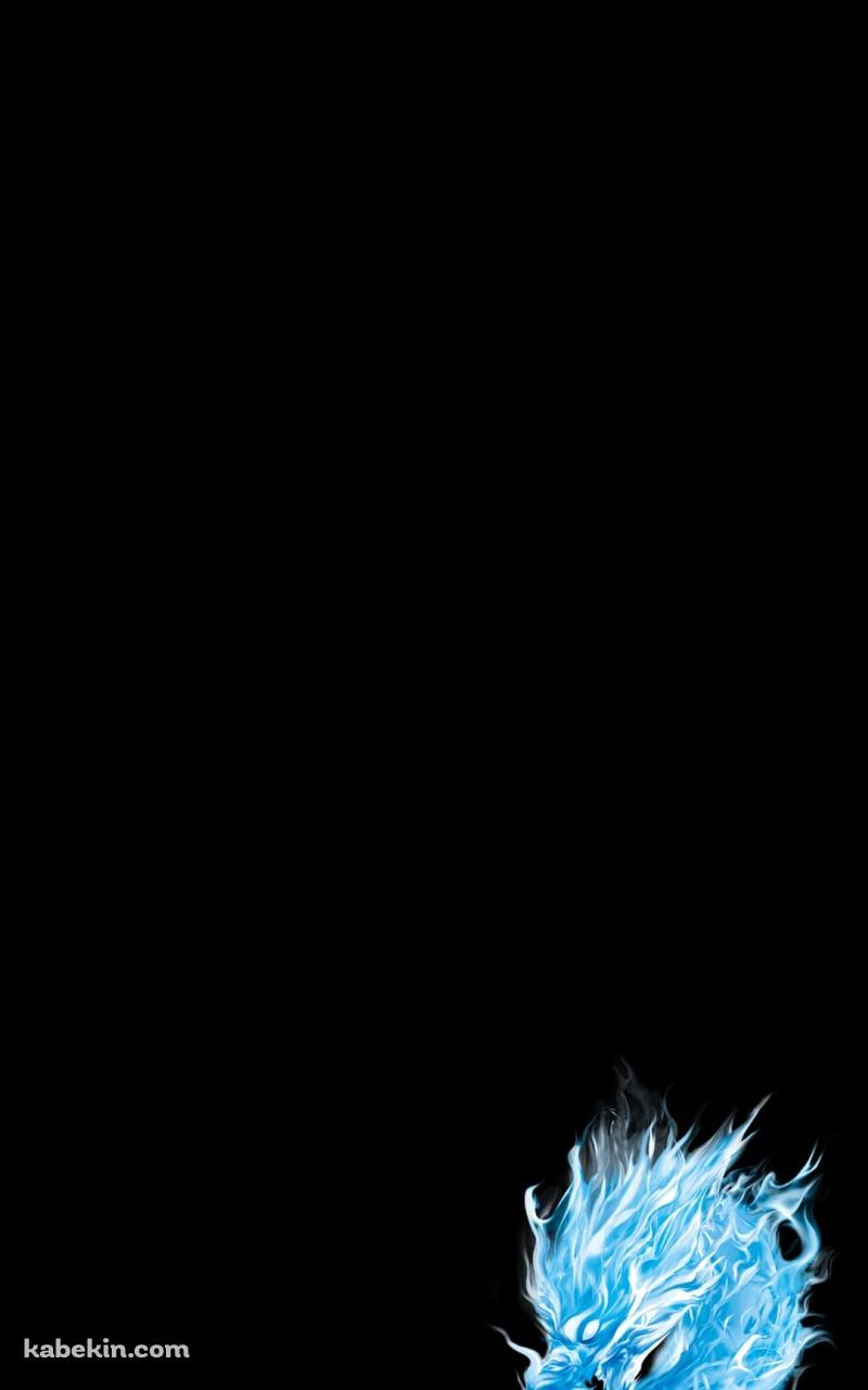 フレイムドラゴンのAndroidの壁紙(800px x 1280px) スマホ用