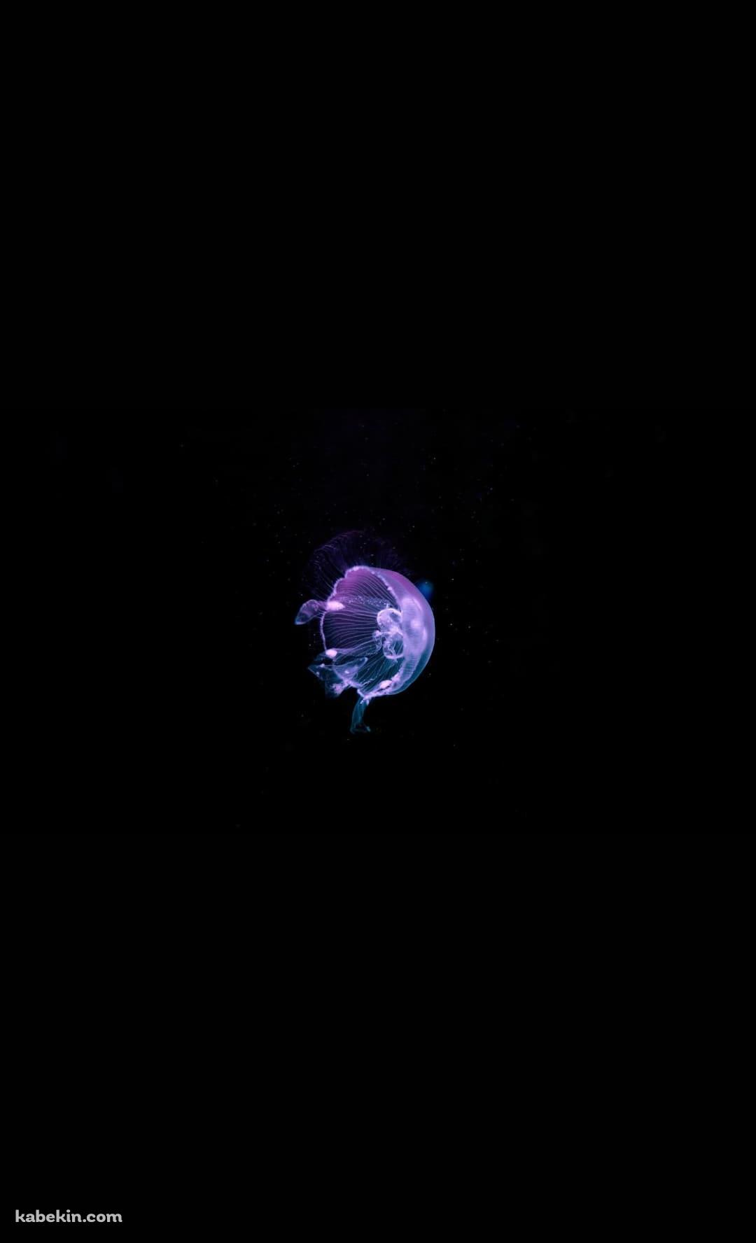 紫のクラゲ 海のAndroidの壁紙(1080px x 1776px) スマホ用