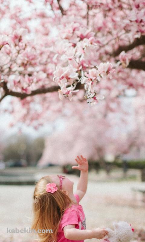 桜を見上げる外国人の女の子のAndroidの壁紙(480px x 800px) スマホ用