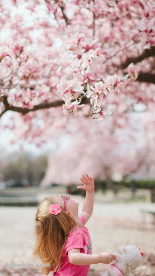 桜を見上げる外国人の女の子のAndroidの壁紙(540px x 960px) スマホ用