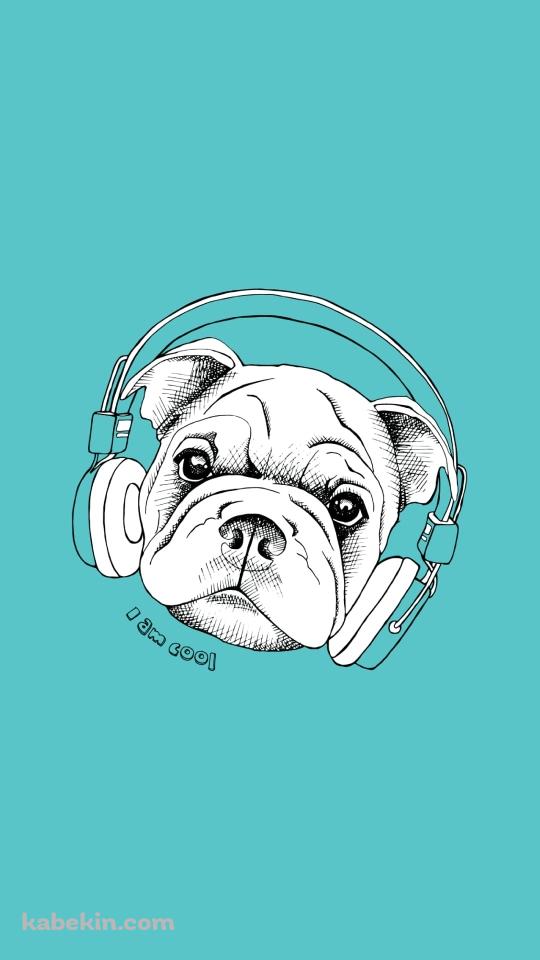 ブルドッグ I am coolのAndroidの壁紙(540px x 960px) スマホ用