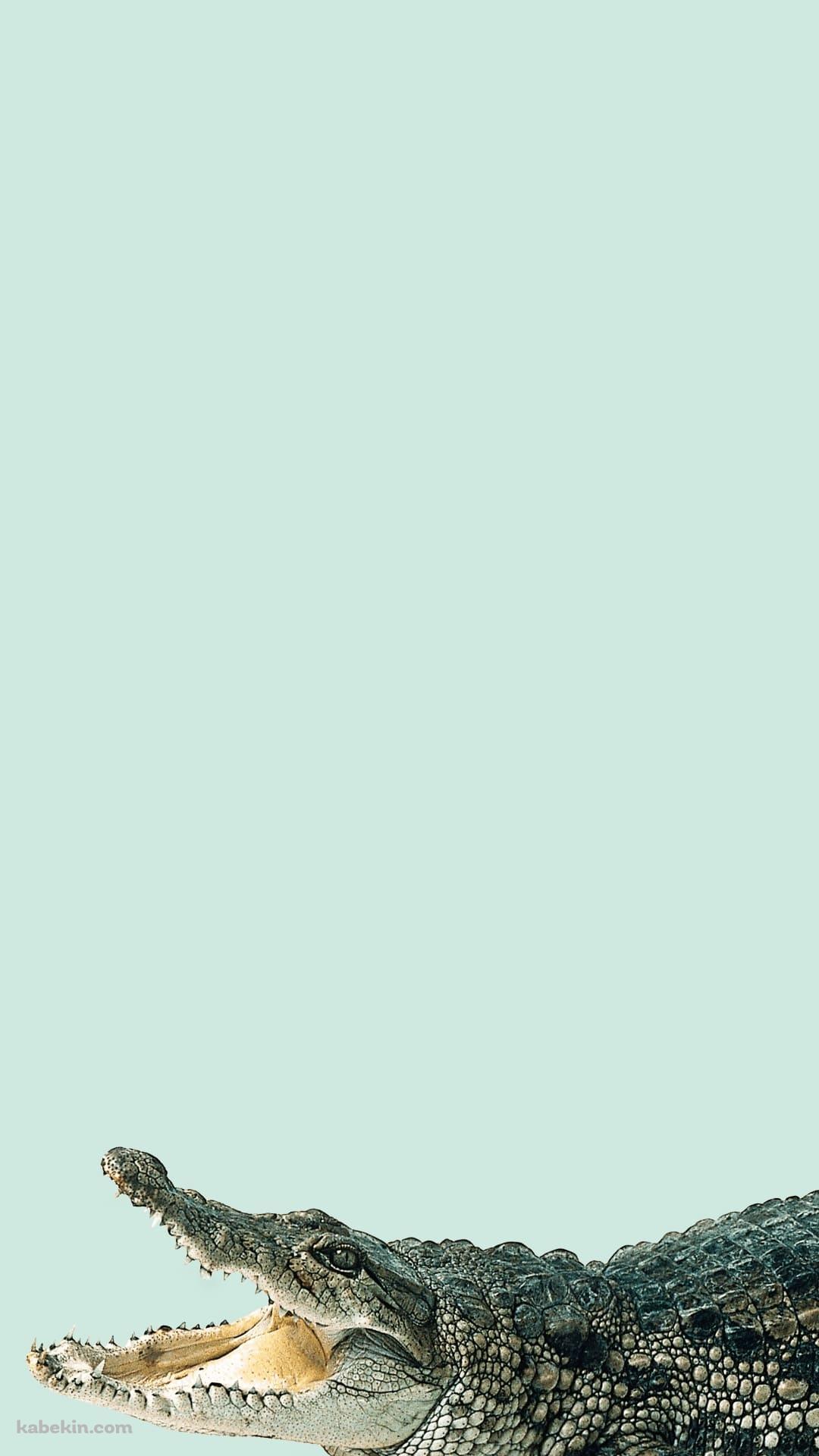 鰐のandroid用のスマホ壁紙 1080 X 19 壁紙キングダム