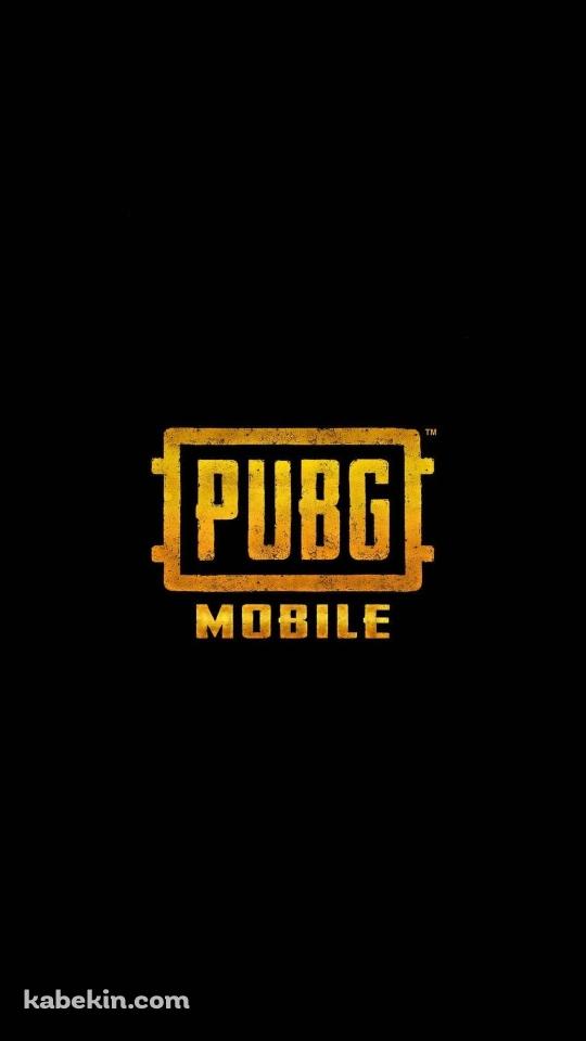 PUBG MOBILEのAndroidの壁紙(540px x 960px) スマホ用