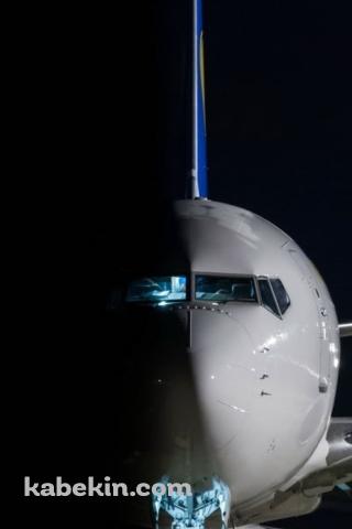 ウクライナ国際航空 ボーイング737のAndroidの壁紙(320px x 480px) スマホ用