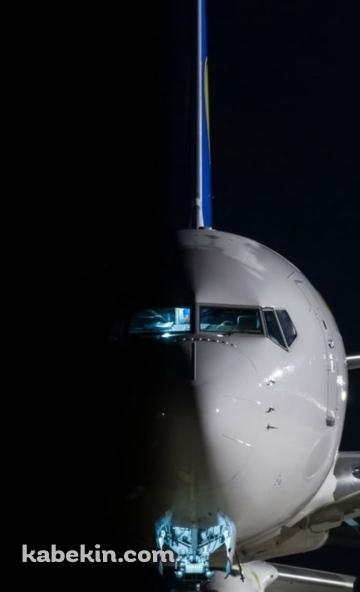 ウクライナ国際航空 ボーイング737のAndroidの壁紙(360px x 592px) スマホ用