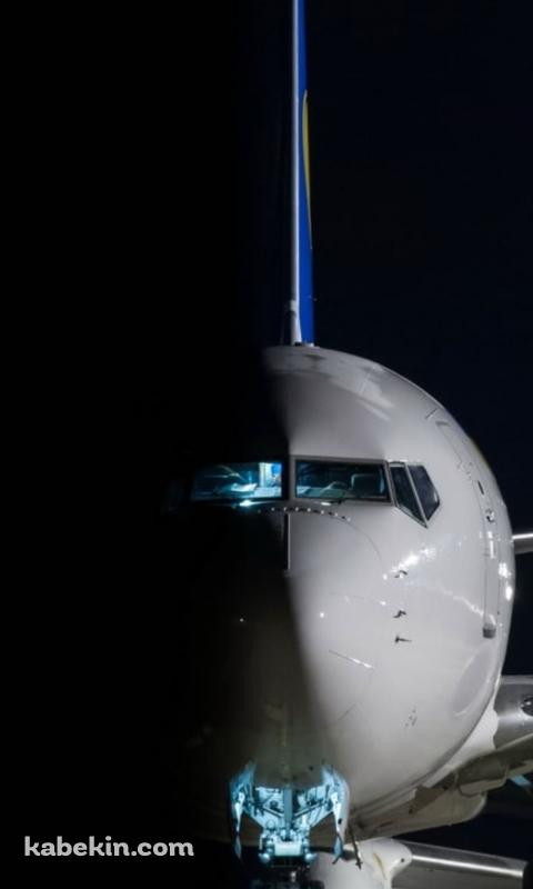 ウクライナ国際航空 ボーイング737のAndroidの壁紙(480px x 800px) スマホ用