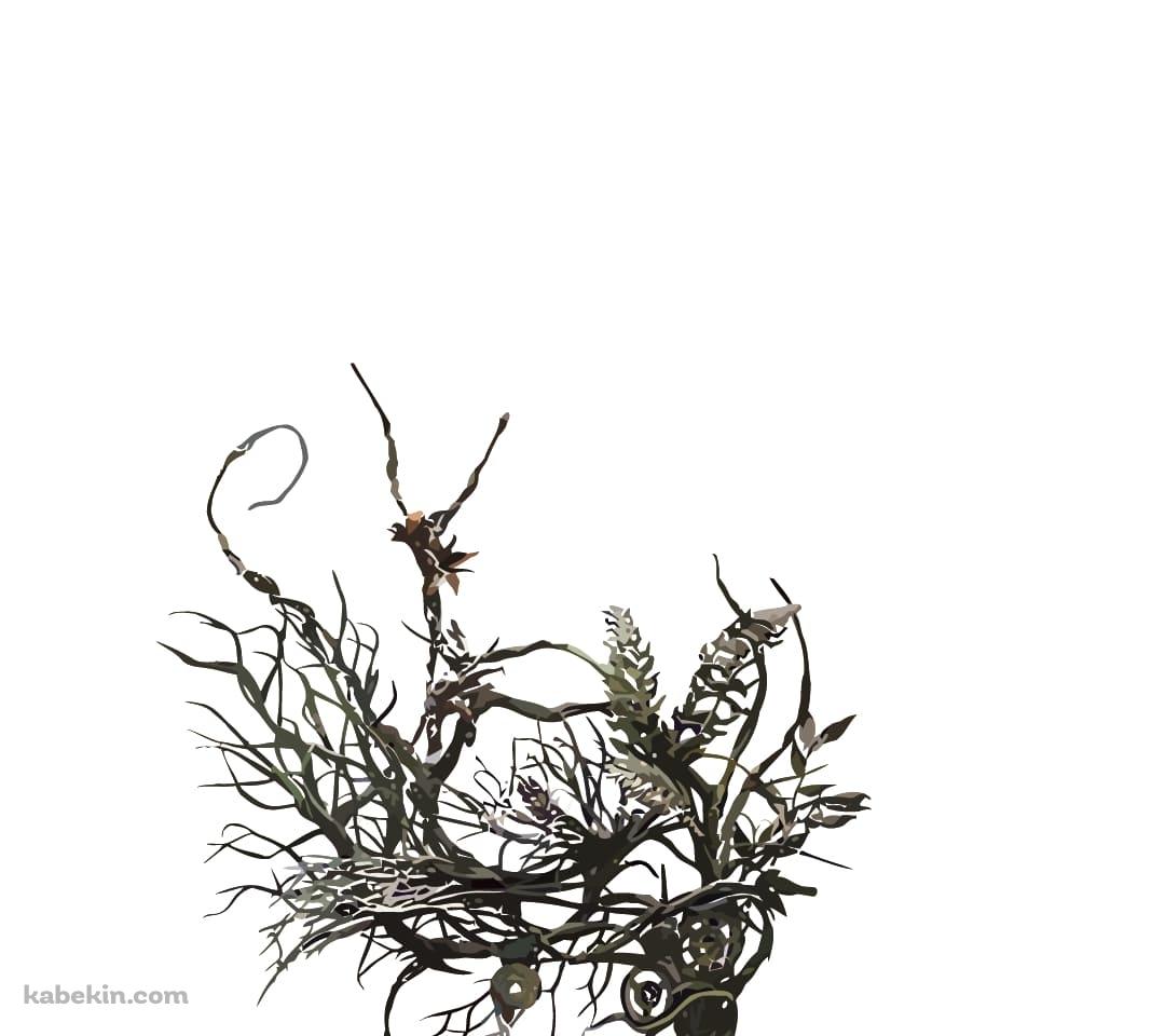 木が生えたカラスのAndroidの壁紙(1080px x 960px) スマホ用