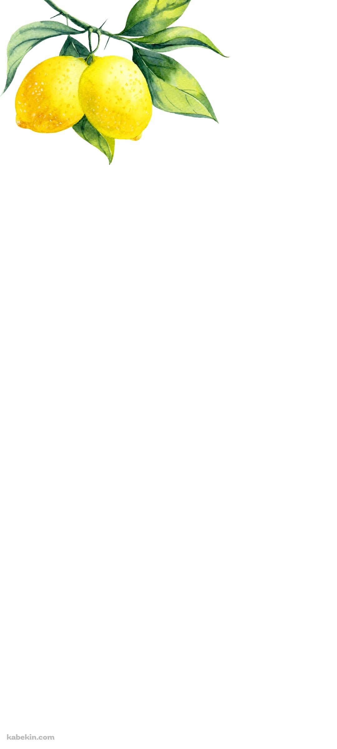 水彩のレモンのAndroidの壁紙(1080px x 2400px) スマホ用