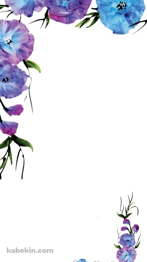 朝顔のフレームのAndroidの壁紙(480px x 854px) スマホ用