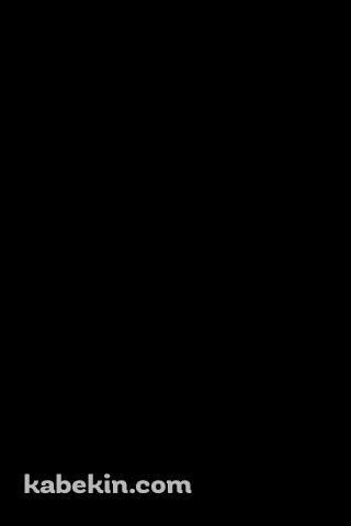 川崎フロンターレ 黒のAndroidの壁紙(320px x 480px) スマホ用