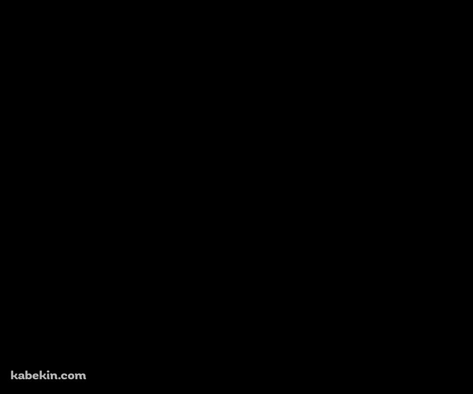 FrostpunkのAndroidの壁紙(960px x 800px) スマホ用