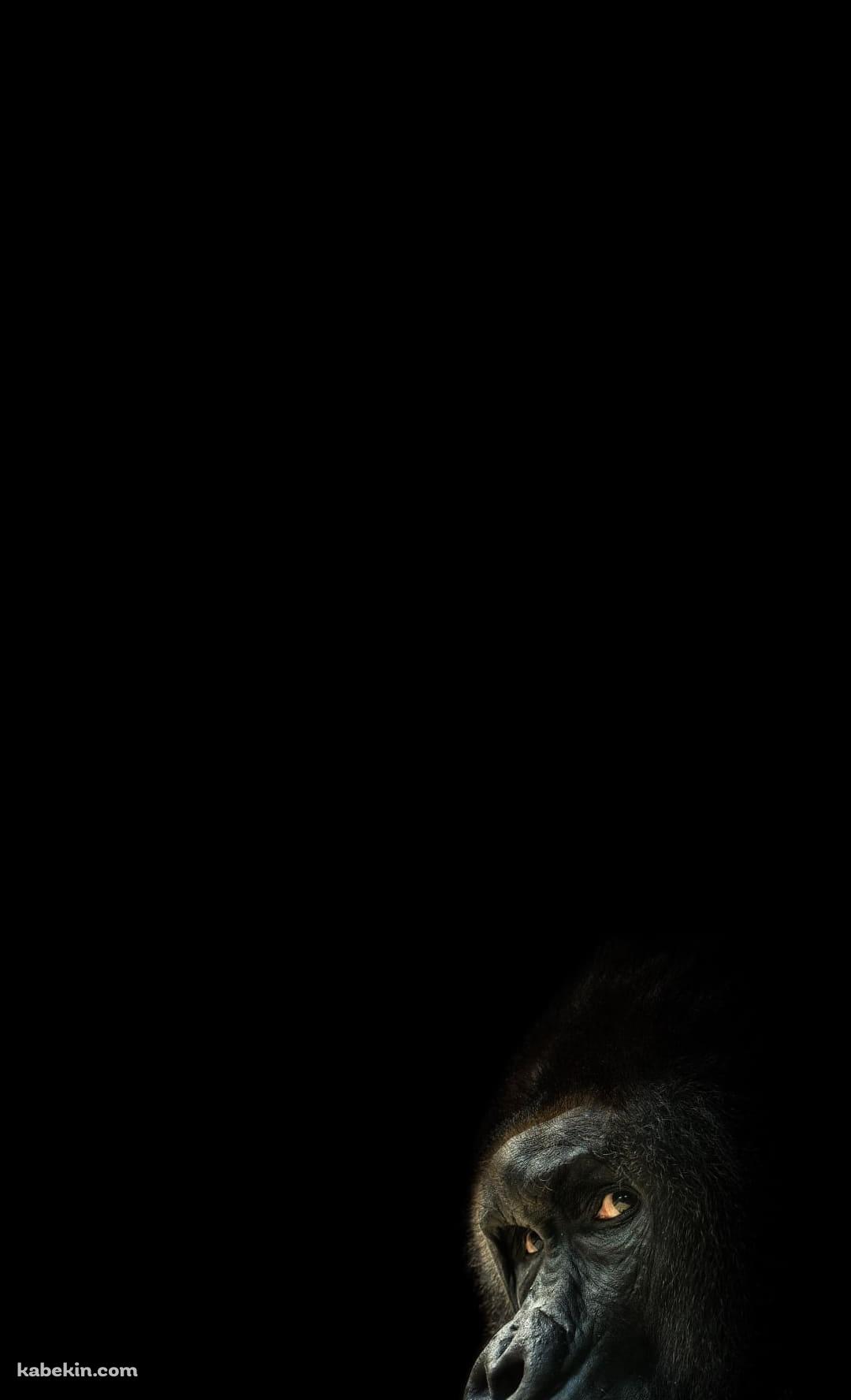 後ろを振り返るゴリラのAndroidの壁紙(1080px x 1776px) スマホ用