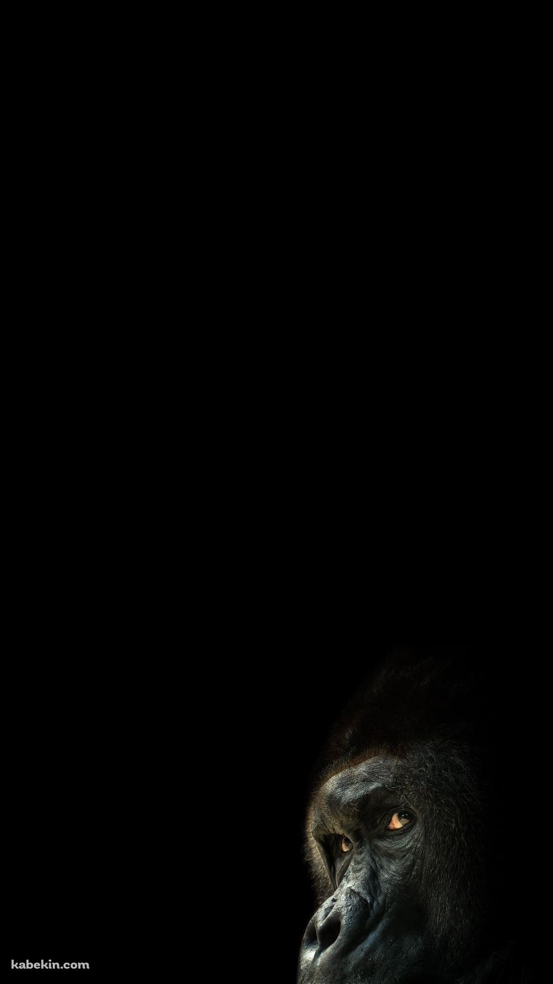 後ろを振り返るゴリラのAndroidの壁紙(1080px x 1920px) スマホ用