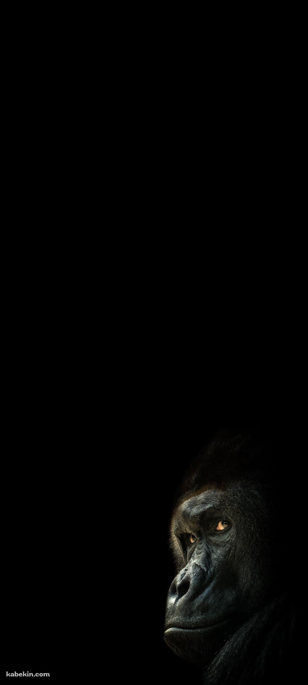 後ろを振り返るゴリラのAndroidの壁紙(1080px x 2400px) スマホ用