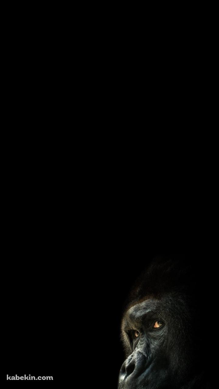 後ろを振り返るゴリラのAndroidの壁紙(720px x 1280px) スマホ用