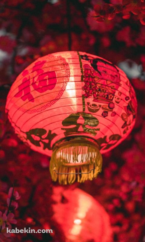 中国 元宵節 春節 赤い提灯・ランタンのAndroidの壁紙(480px x 800px) スマホ用